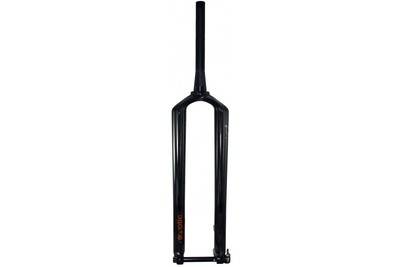 carbon 29er fork
